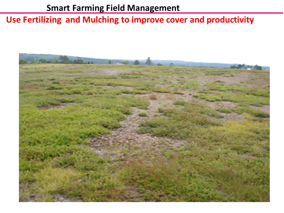 Dr. David Yarborough Precision Agriculture Research Program Dalhousie University